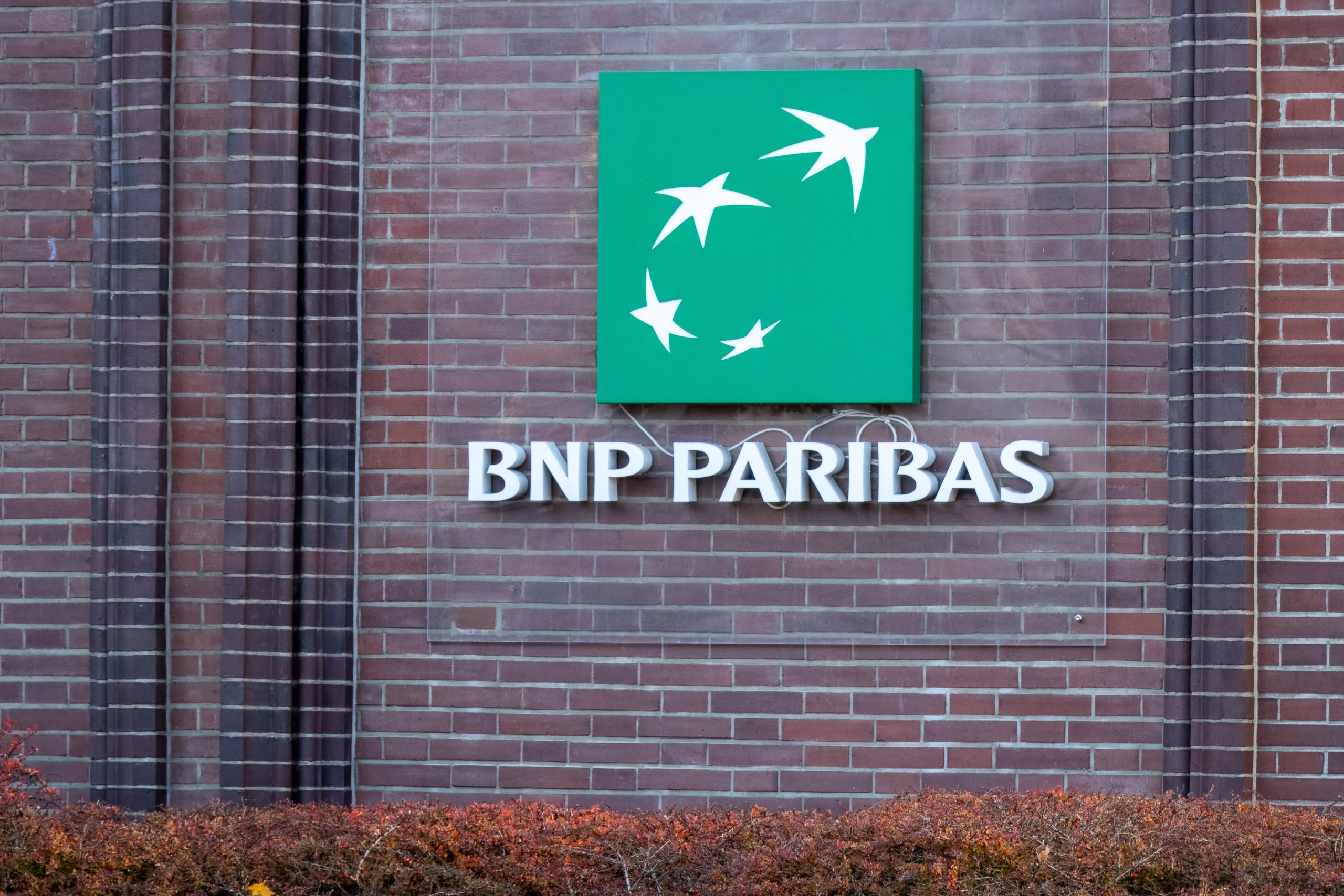 What Services Does BNP Bank Offer?