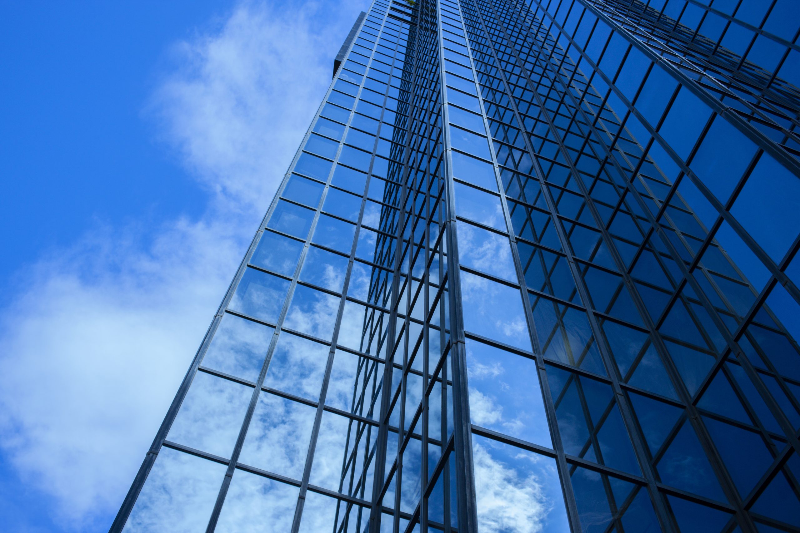 SKN | Financial Services Accelerate AI Adoption: What Faster Digital Transformation Means for Global Wealth Management